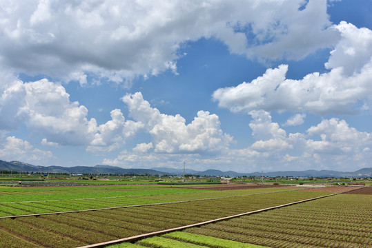 田園風(fēng)光