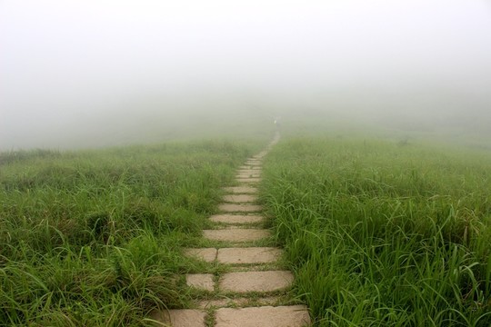 大崳山島