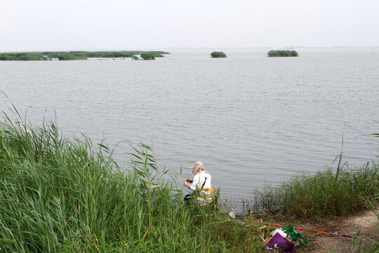 釣魚 垂釣 湖面 魚竿 湖水