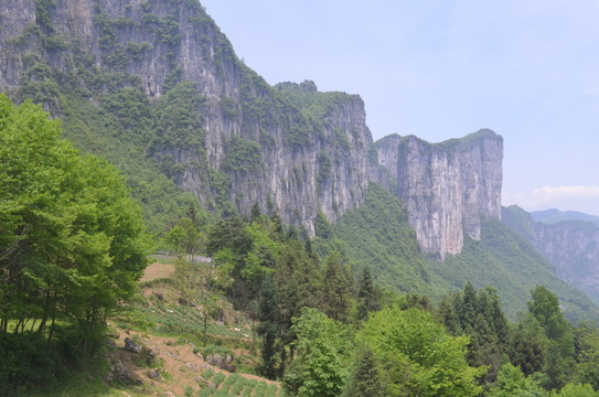 群山連綿