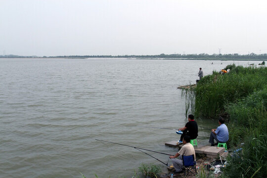 釣魚 垂釣 湖面 魚竿 湖水