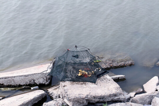 釣魚(yú) 垂釣 湖面 魚(yú)竿 湖水