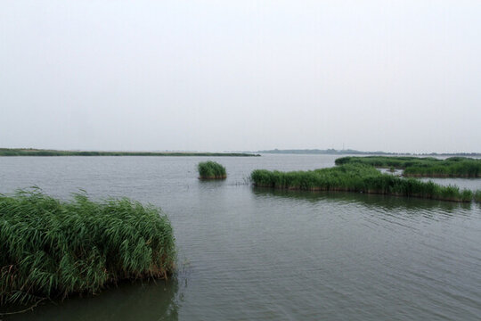 釣魚(yú) 垂釣 湖面 魚(yú)竿 湖水