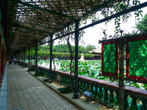 廣州 寶墨園