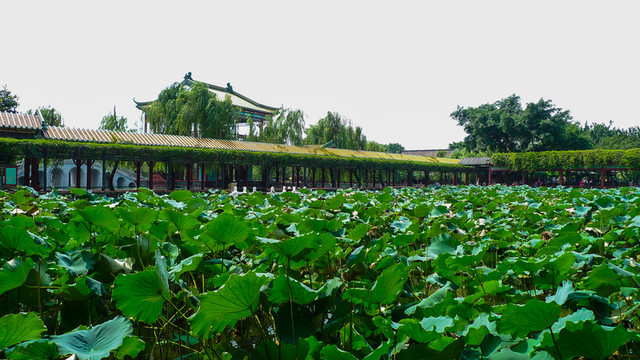 廣州 寶墨園