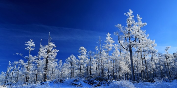 林海雪原霧凇