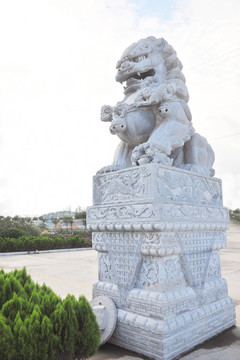 石獅 獅子