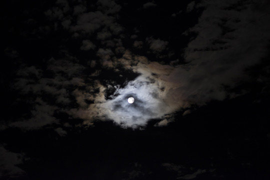 月夜