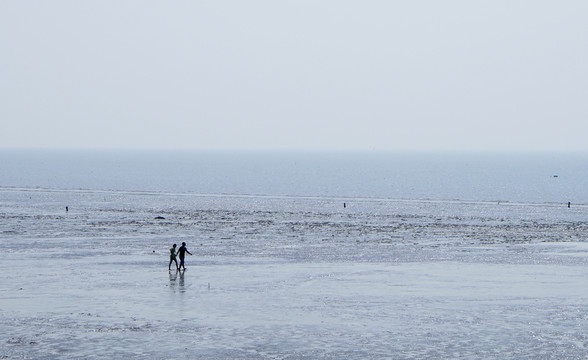 海之愛