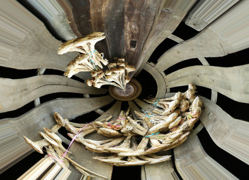 創(chuàng)意圖片