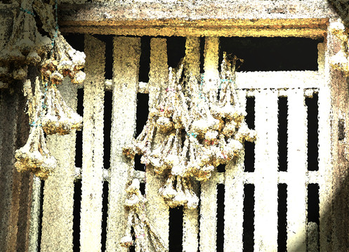 大蒜 小品 農(nóng)村 裝飾 背景