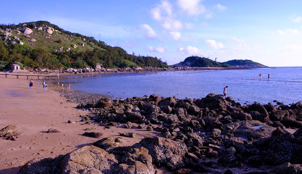 陽西 大樹島