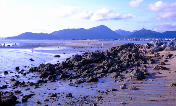 陽(yáng)西 大樹(shù)島