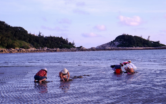 陽(yáng)西 大樹島