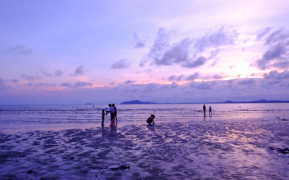 陽西 大樹島