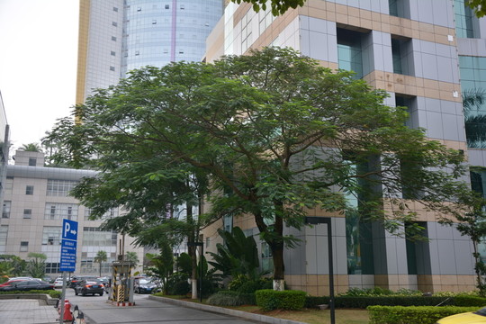 東莞風(fēng)光