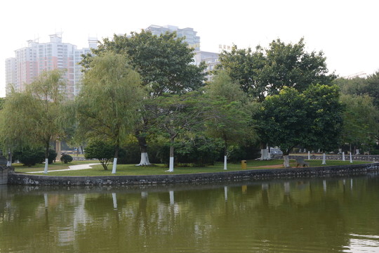 綠化