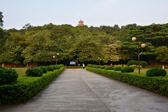 綠化