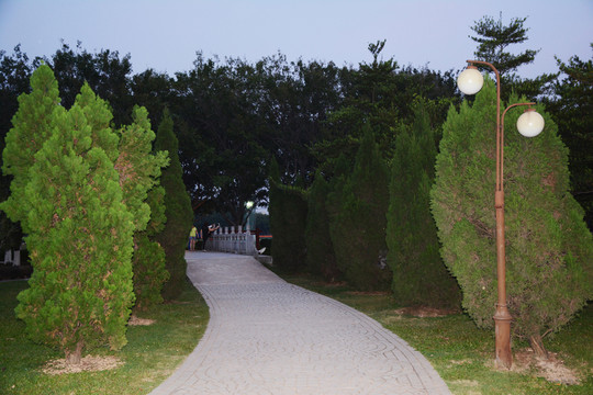 綠樹(shù)