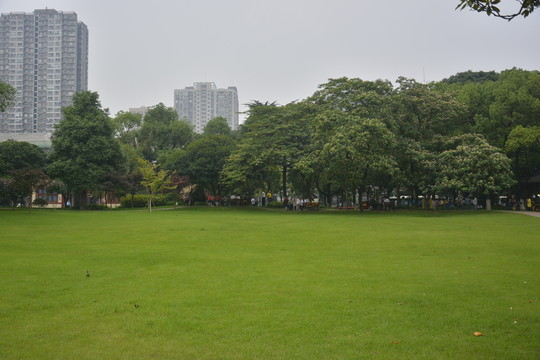 曉園