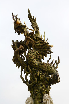 巨龍