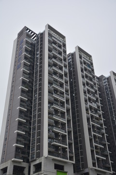 深圳風光