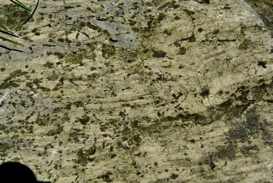 石頭紋理 水泥墻面 天然石材