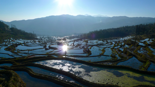 元陽(yáng)梯田
