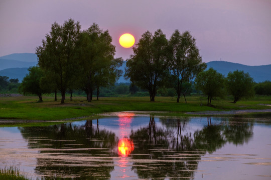 夕陽