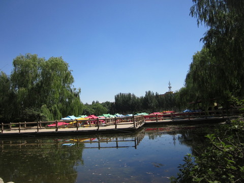 公園水上小橋