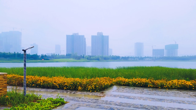 鄭州龍子湖