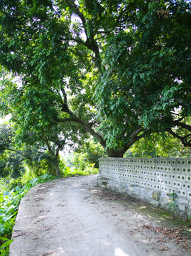 陽西 禾倉古村