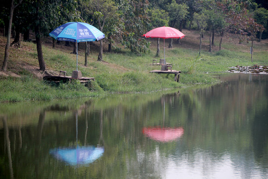 番禺大夫山森林公園