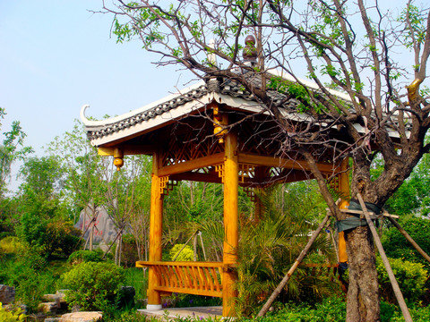 武清南湖 風(fēng)景區(qū)
