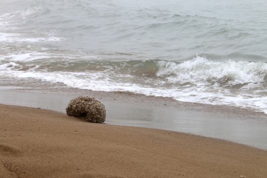 海浪