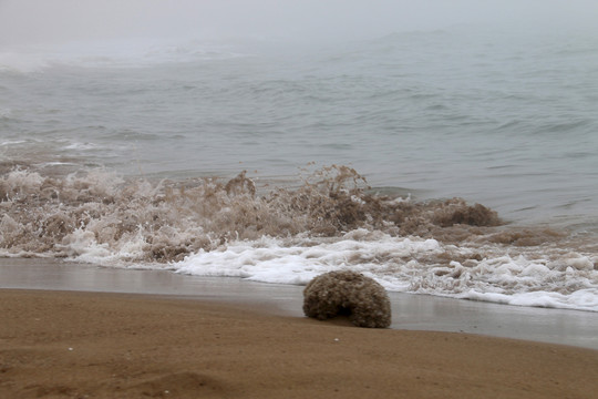 海浪