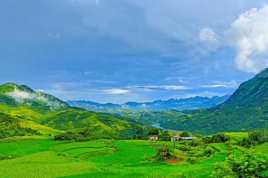 高山田野