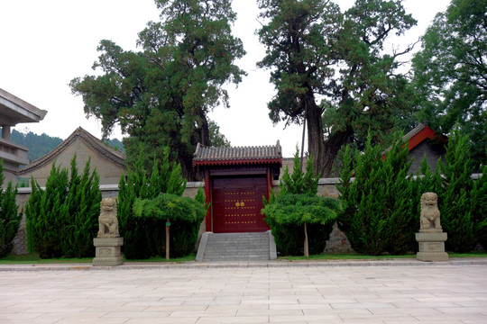 寺廟建筑 園林建筑 古樹(shù) 大門