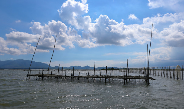 陽西 蠔鄉(xiāng) 紅光村