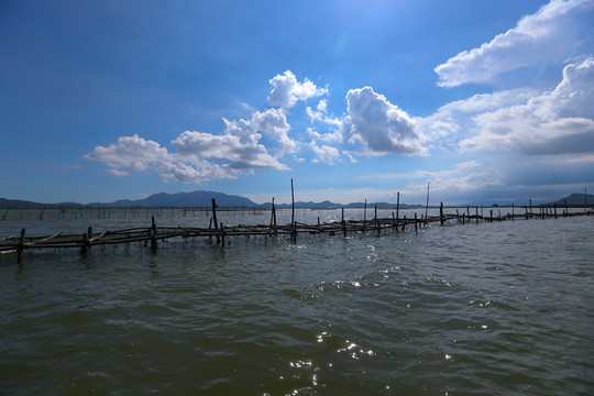 陽西 蠔鄉(xiāng) 紅光村