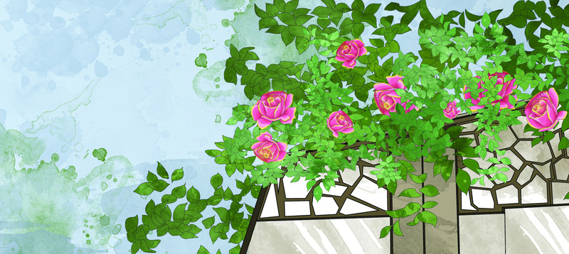 薔薇花 原創(chuàng)唯美插圖