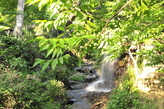 鳳慶 古墨村