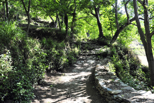鳳慶 古墨村