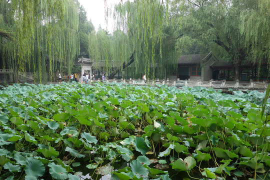 諧趣園