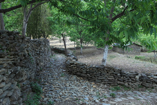 鳳慶 古墨村