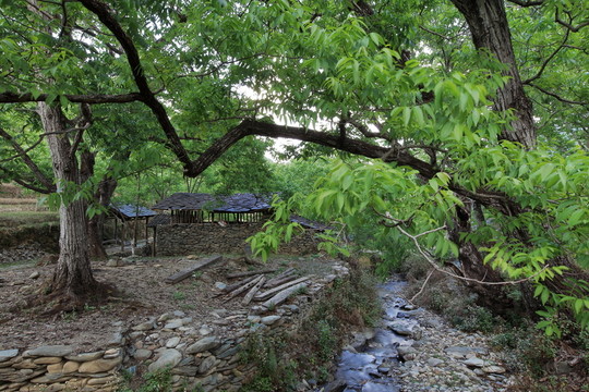 鳳慶 古墨村