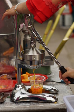 水果壓榨機(jī)