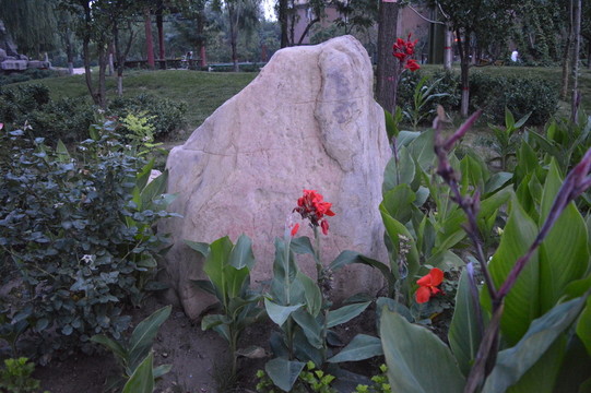公園石塊