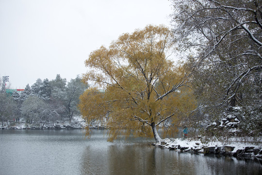 北京大學(xué)校園風(fēng)光未名湖冬天雪景