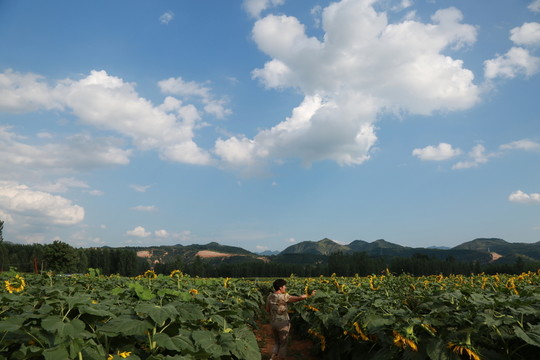 田園風景